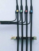 0.6-1KV塑料絕緣及護套預(yù)分支電力電纜