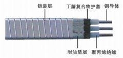 QYPF鋼帶鎧裝扁形潛油泵電力電纜