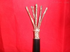 DJYPV計(jì)算機(jī)屏蔽控制電纜